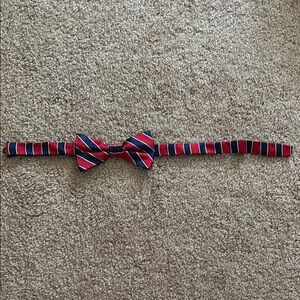 Red and Blue Striped Bow Tie